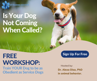 5-New-336-x-280-Banner-Ads Free Online Dog Training Workshop