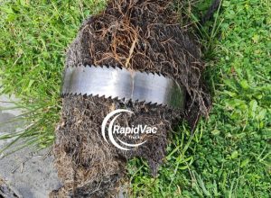 Vac Trucks for Efficiently Clearing Tree Roots from Drains