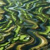Golfing Destination: Discover Bellville Golf Club’s Charm