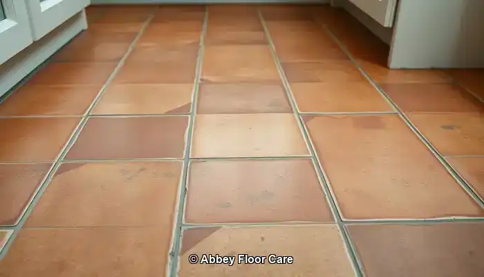 What Causes Terracotta Floors to Accumulate Dirt Quickly?