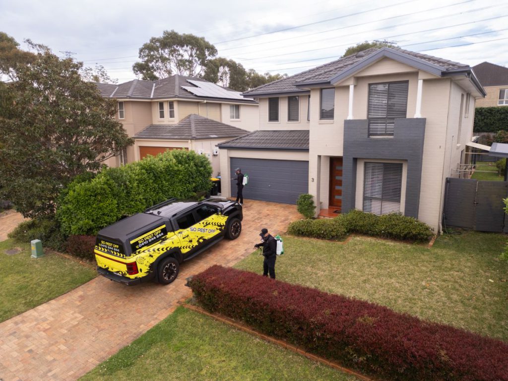 Pest Control Solutions for a Bug-Free Home